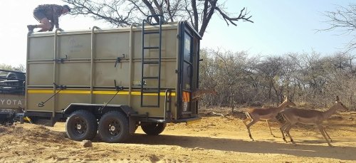Umndeni Game Breeders